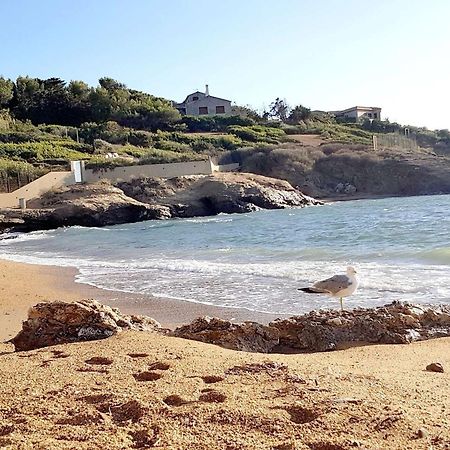 T3 Climatise Avec Jardin, Parking Prive, A 400M De La Plage Et Commerces - Fr-1-316-230 Six-Fours-les-Plages Zewnętrze zdjęcie