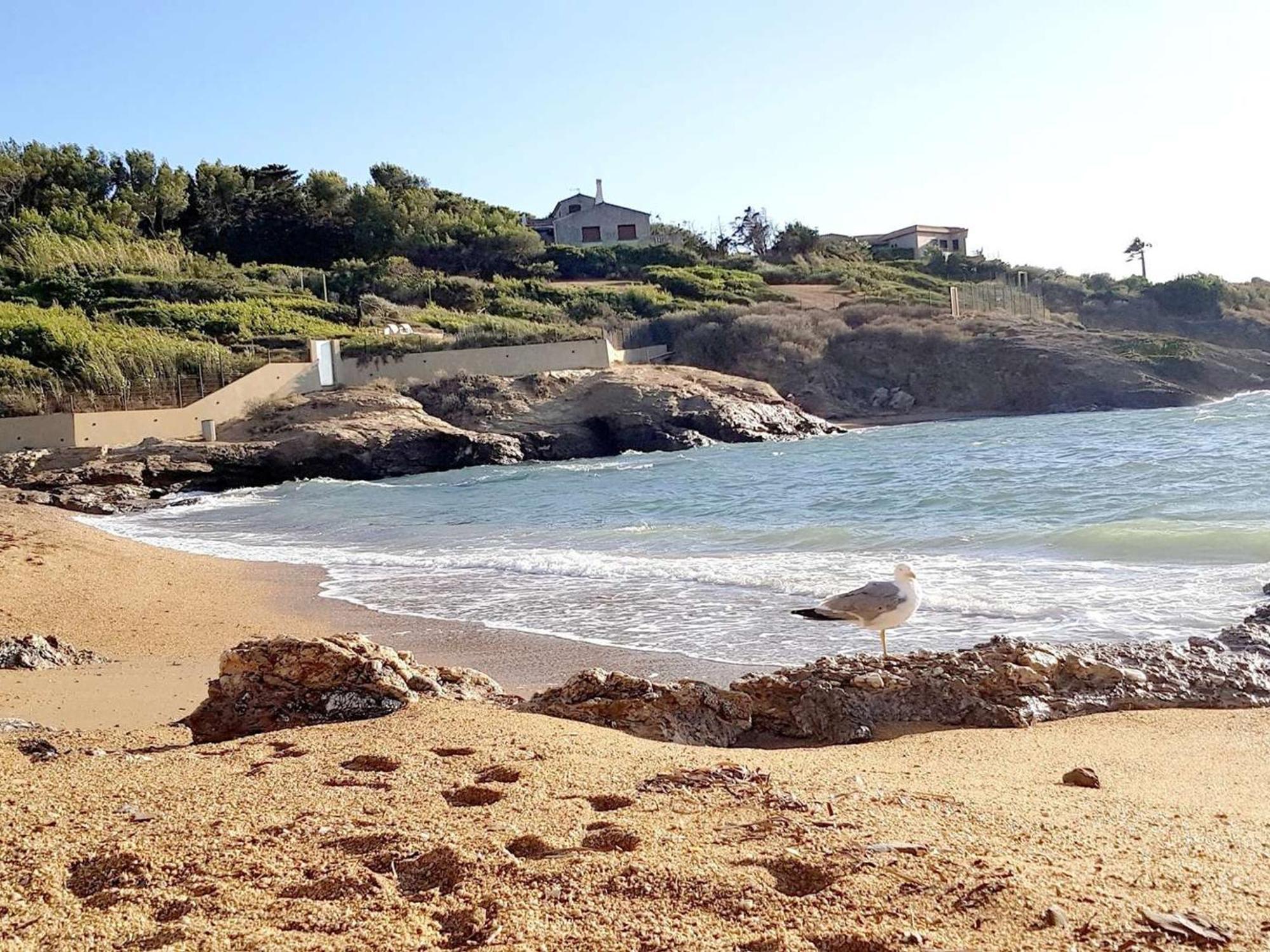 T3 Climatise Avec Jardin, Parking Prive, A 400M De La Plage Et Commerces - Fr-1-316-230 Six-Fours-les-Plages Zewnętrze zdjęcie